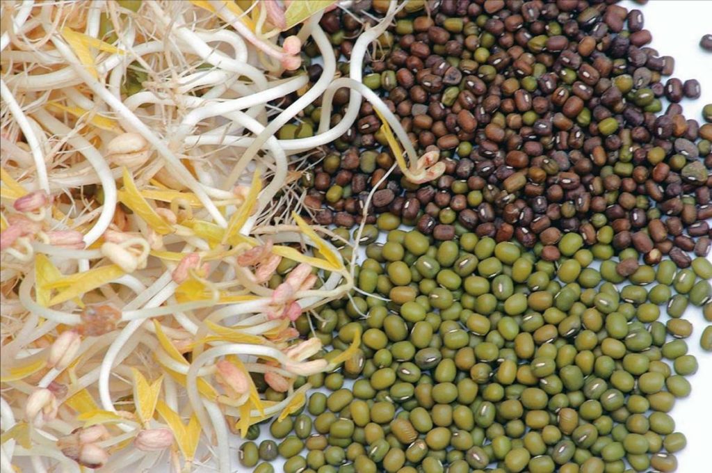 30 años de GNU: Mi mirada 1 semillas