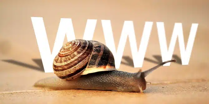 snail www