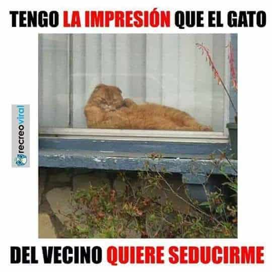 724071d5001ae62e88a4f82e7c021928