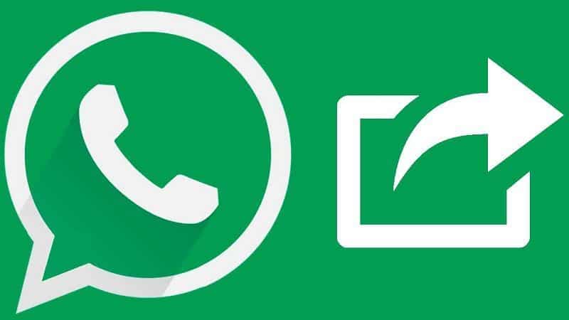 WhatsApp reenvío de mensajes