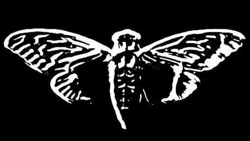 cicada3301