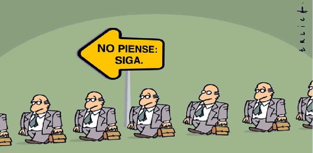 estupidez 1024x500 1