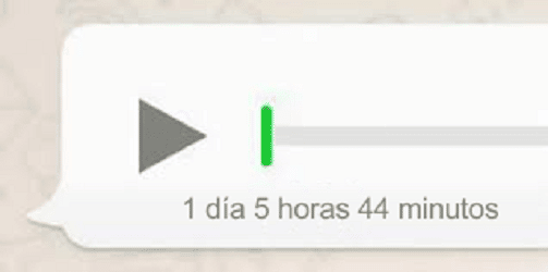 como transcribir audios de whatsapp
