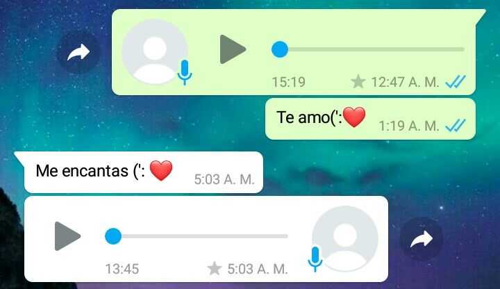 transcribir audios de whatsapp