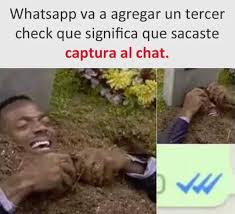 tercer-check-azul-whatsapp