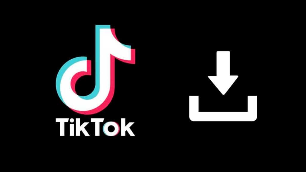 descargar videos de TikTok sin marca de agua